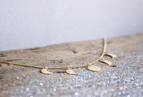 Fauna_y_Flora_Collar_Fases_Lunares2