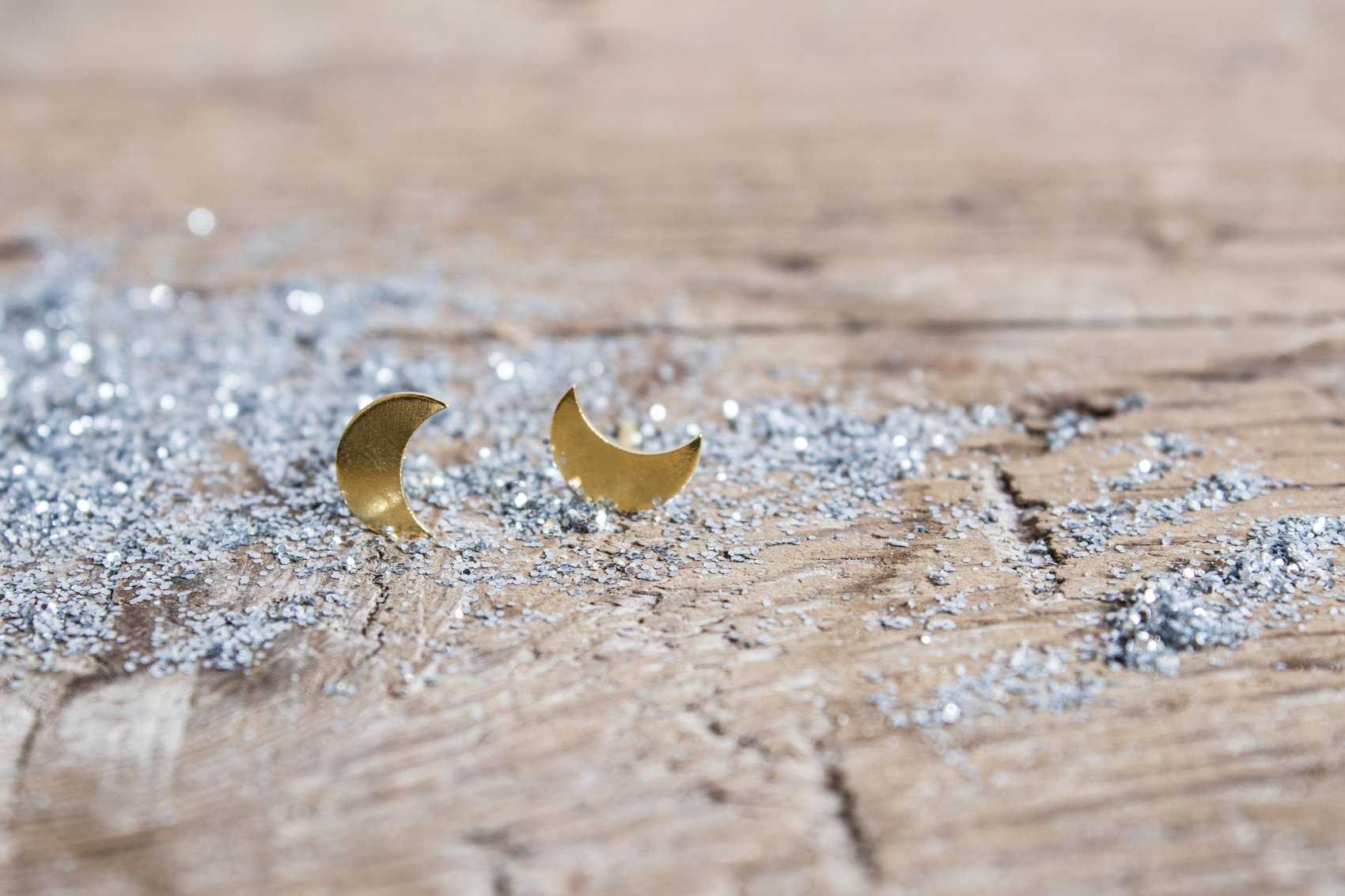 Luna pendientes Fauna y Flora