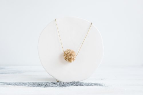 Rosa del desierto collar Fauna y Flora