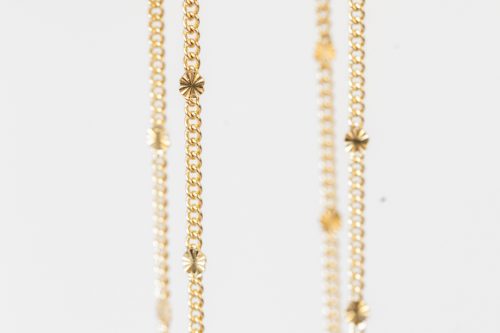 Casiopea cadena dorada estrellas Fauna y Flora