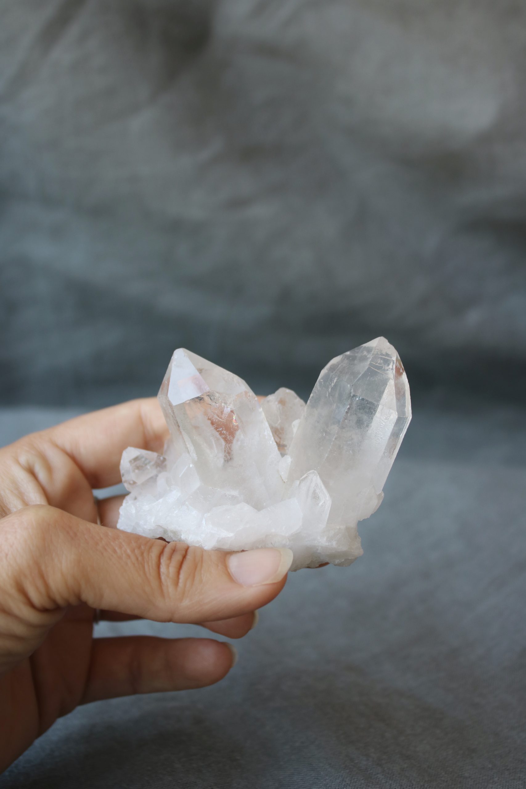 Puntas de cuarzo Selected Crystals Fauna y Flora